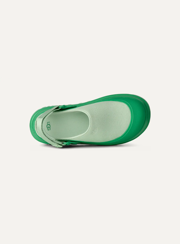 GoldenGlow Canvas Women's Clog – Hummingbird 2.5 | Lastorai