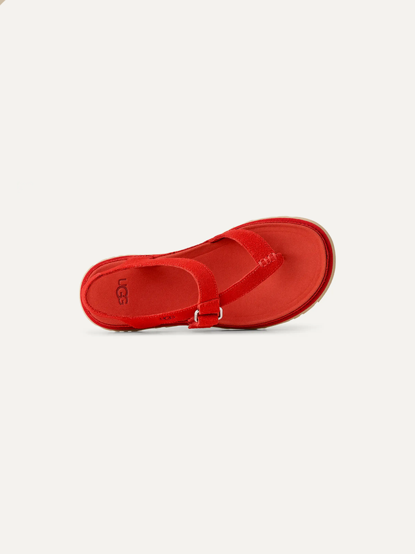 GoldenGaze Women's Toe Post Sandals – Wheat Field 3.5 | Lastorai