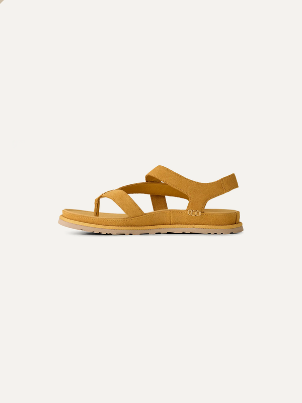 GoldenGaze Women's Toe Post Sandals – Dense Smoke 5 | Lastorai