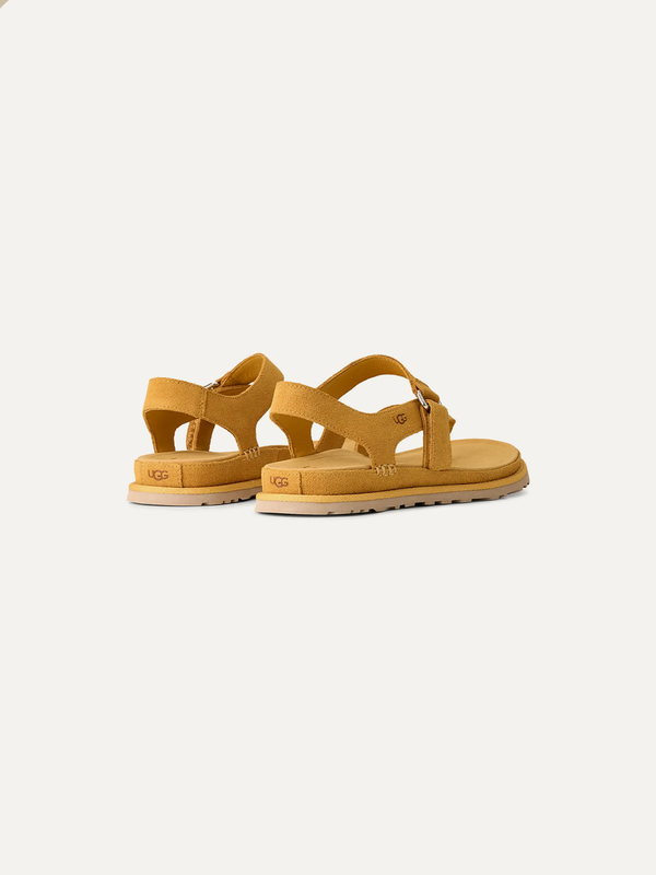 GoldenGaze Women's Toe Post Sandals – Dense Smoke 6 | Lastorai