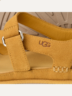 GoldenGaze Women's Toe Post Sandals – Dense Smoke 6.5 | Lastorai