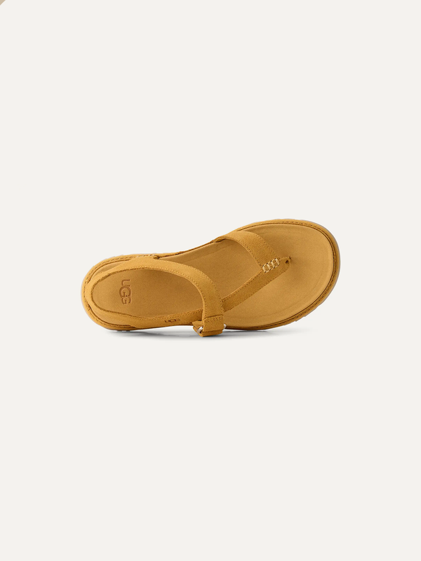 GoldenGaze Women's Toe Post Sandals – Dense Smoke 7.5 | Lastorai