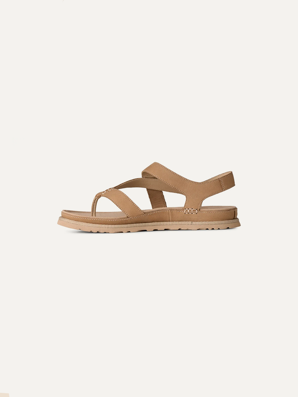 GoldenGaze Women's Toe Post Sandals – Sand 3.5 | Lastorai
