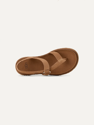 GoldenGaze Women's Toe Post Sandals – Wheat Field 8.5 | Lastorai