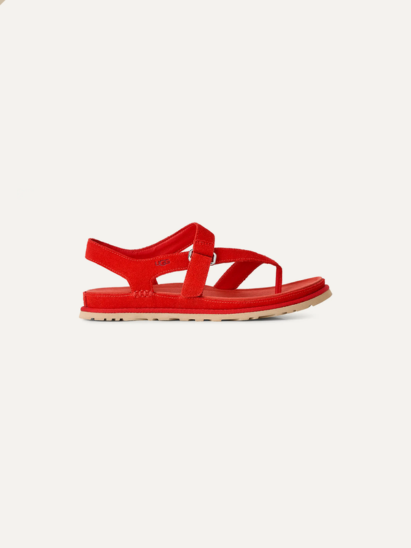 GoldenGaze Women's Toe Post Sandals – Dense Smoke 8.5 | Lastorai